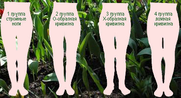Оценка формы голеней